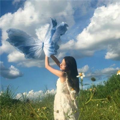 禁宫龙虎斗